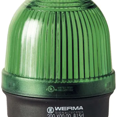 Lampada permanente BM 12…230V AC/DC verde 