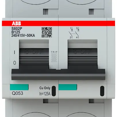 Disjoncteur ABB S802P-B125 2P 400V B-125A 50kA 3.5UM 
