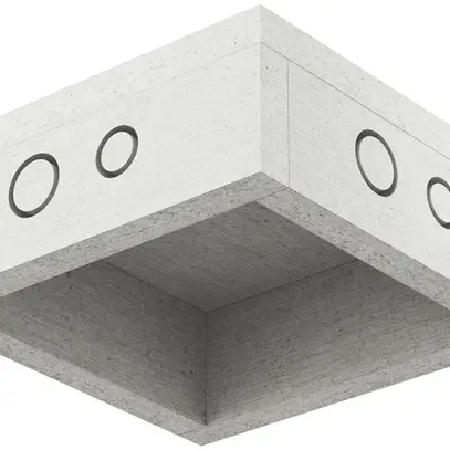 Boîtier INC AGRO ThermoX Lite 170×170×65mm 