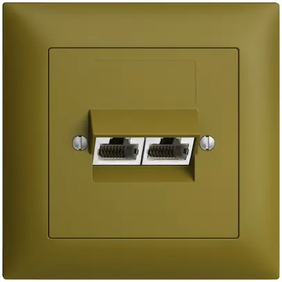 Prise ENC 2×RJ45/s 8P sép.EDIZIOdue olive ITplus 