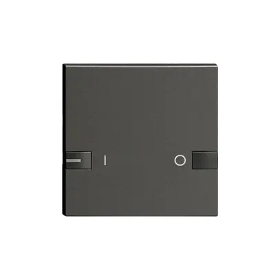 Touche 1/1, I-0, 1 LED ZEP noir noir 