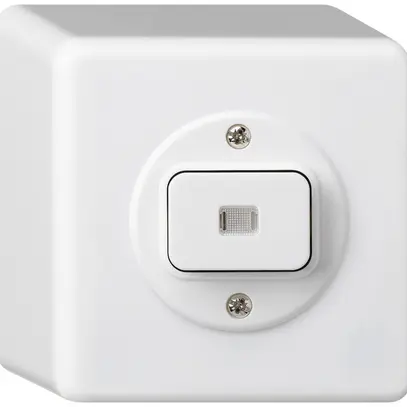 Contact à poussoir lumineux AP basico AR/2L blanc 