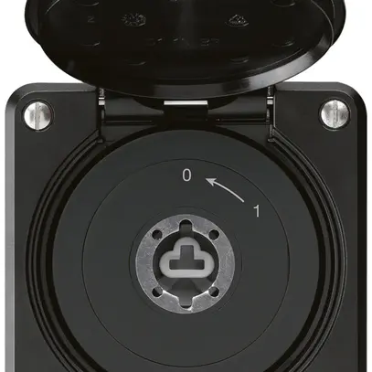 Contact pivotant à clé ENC robusto IP55 noir avec clapet sans cylindre 2P 