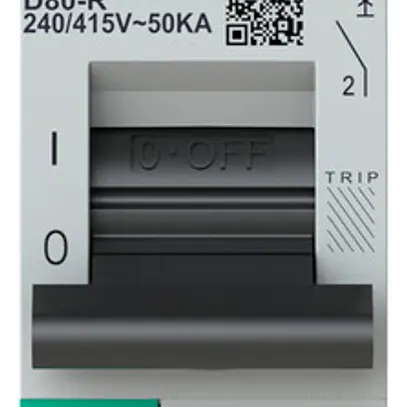Disgiuntore ABB S801P-D80-R 1P 230V D-80A 50kA 1.5UM 