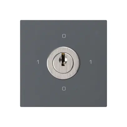 Intérieur interrupteur à clé kallysto 0/3L anthracite avec serrure Kaba 8 