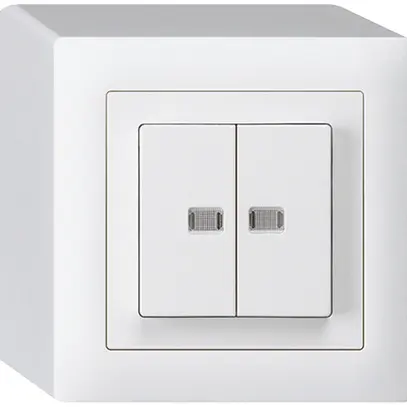 Interrupteur poussoir lumineux AP kallysto 1/3+3/1 avec 2 lentilles blanc 