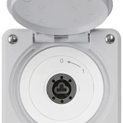 Contact pivotant à clé ENC robusto IP55 gris avec clapet sans cylindre 1P 