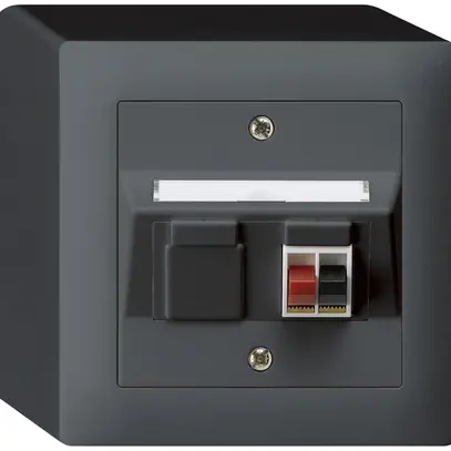 Prise AP audio kallysto 1×anthracite borne à étrier pour 1 haut-parleur 