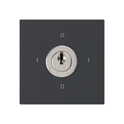 Intérieur interrupteur à clé kallysto 0/1L noir avec serrure Kaba 8 