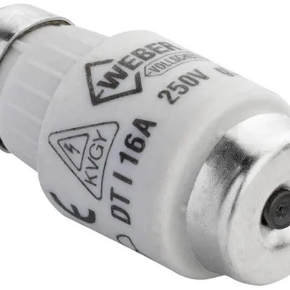 Fusibile D DTI 16A 250V ritardato protezione completa 