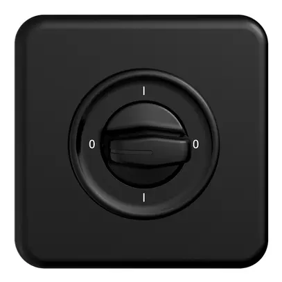 Interrupteur rot.ENC STANDARDdue 0/1L noir, avec manette 