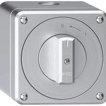 AP-Schwenktaster robusto IP55 aluminium 1P 
