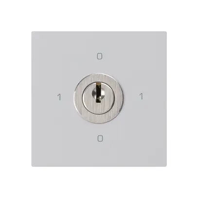 Einsatz zu Schlüsselschalter kallysto 0/2L hellgrau mit Schloss Kaba 8 