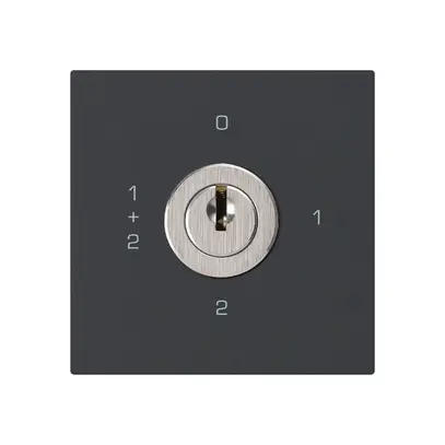 Intérieur interrupteur à clé kallysto 1/1L noir avec serrure Kaba 8 
