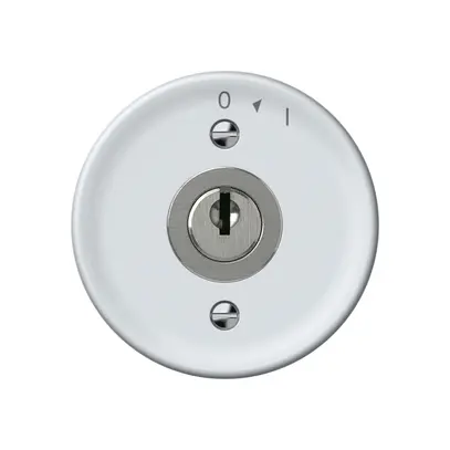 Pulsante rotativo origin con cilindro 1P 0<1 10A 230V 60×60mm bianco 