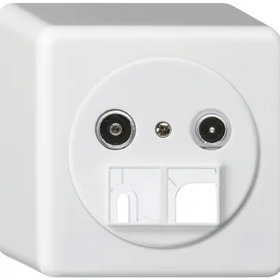 Presa multimedia AP basico TV-R 10.5dB 2GHz bianco 