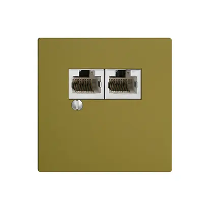 Scatola 2×RJ45/s 8P par.EDIZIOdue olive R&M swissline 