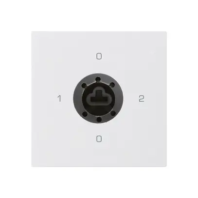 Einsatz zu Schlüsselschalter kallysto 2/1L weiss f.Sicherheitsschloss o.Zylinder 