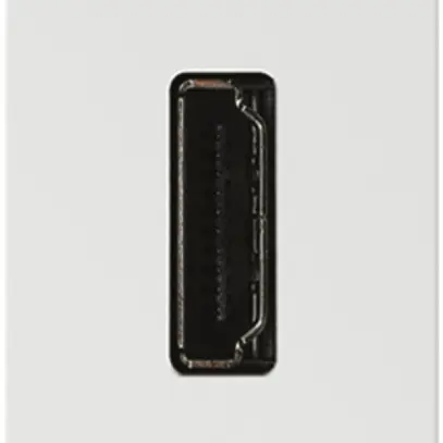 Presa HDMI tipo A INS MOS bianco 1 modulo 