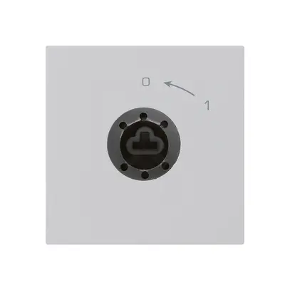 SchwenkTaster 0<-1/2L hellgrau kallysto für Schloss ohne Zylind 