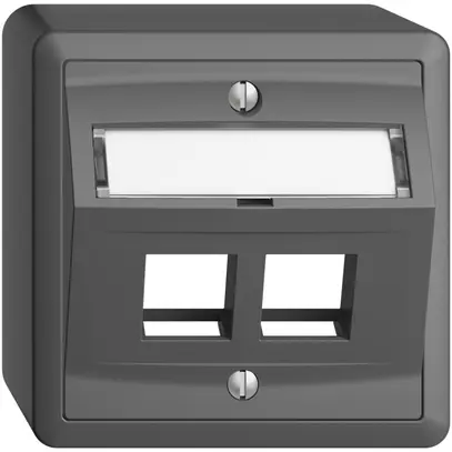 Kit de montage AP Edue, avec capot d.sortie oblique, pour 2×Keystone, gris foncé 
