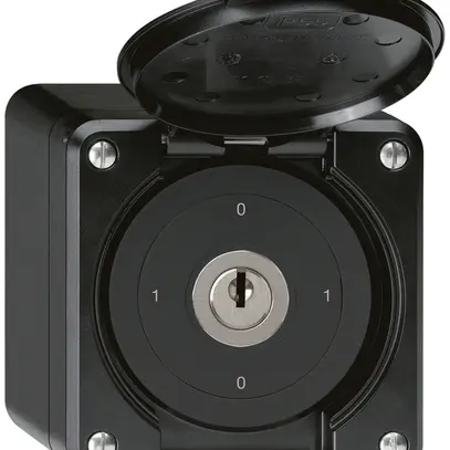Interrupteur à clé AP robusto IP55 avec clapet S0/2P noir 