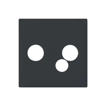 Placca frontale SIDUS per scatola TV-R-dati antracite 