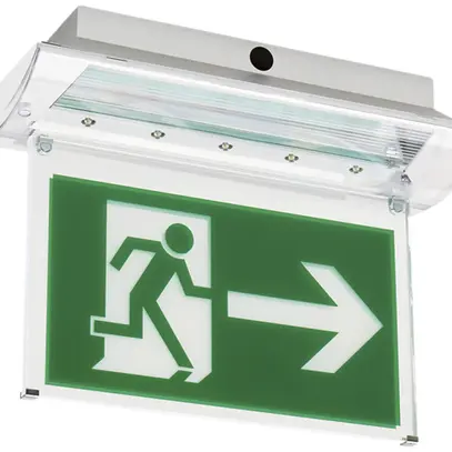 Lampada di emerg.e indicazione LED PE+T+VP, con autotest, 1h 