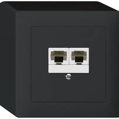 AP-Dose kallysto 2×RJ45u parallel schwarz 