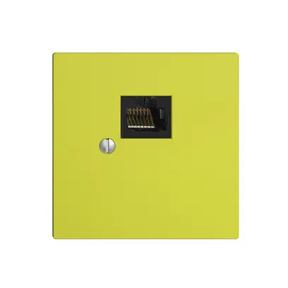 Scatola 1×RJ45/u 8P EDIZIOdue lemon R&M swissline 
