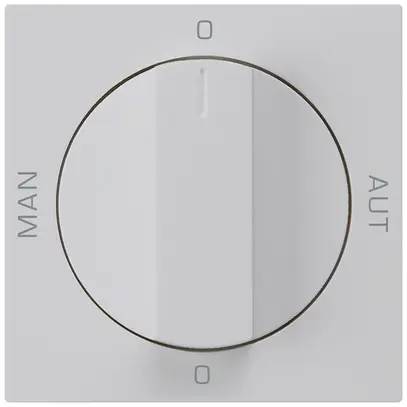 Intérieur pour interrupteur rotatif 0-Man-0-Aut.kallysto 2/1L gris clair manette 