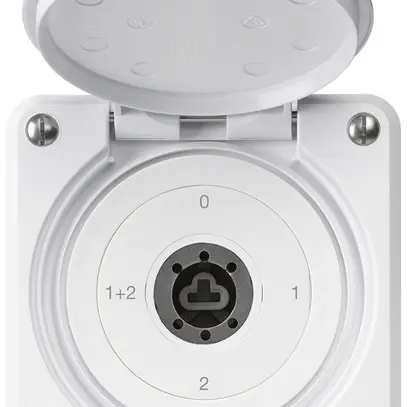 Interruttore a chiave INC robusto IP55 con copertura senza cilindro S1/1P bianco 