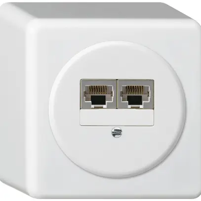 Scatola di raccordo AP basico 2×RJ45s bianco parallelo 