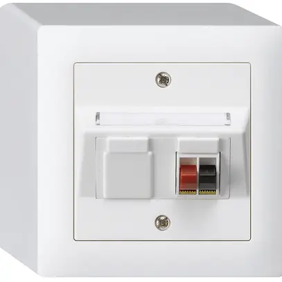 Prise AP audio kallysto 1×blanc borne à étrier pour 1 haut-parleur 