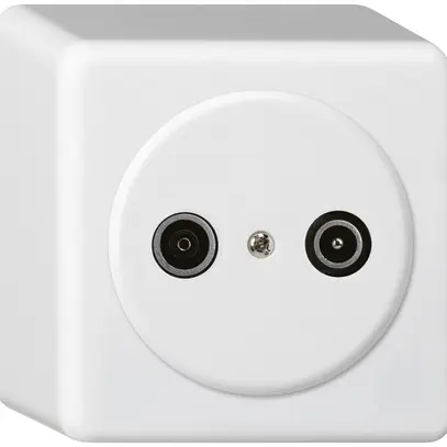 Presa d'antenna AP basico TV-R 10.5dB 2GHz bianco 
