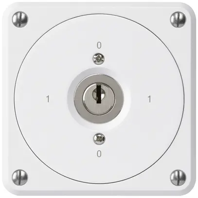 Interruttore a chiave INC robusto senza copertura 0/1P bianco per combinazione 