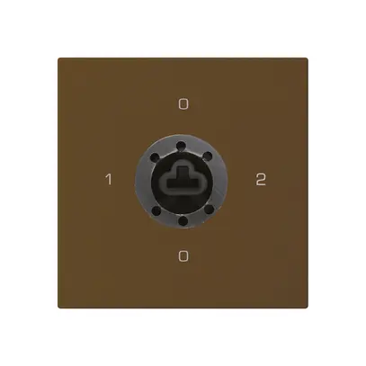 Einsatz zu Schlüsselschalter kallysto 2/1L braun f.Sicherheitsschloss o.Zylinder 