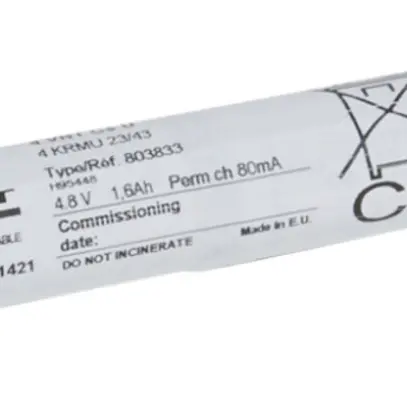 Accu NiCd 4.8V/1.6Ah pour luminaire de secours LEG G5 