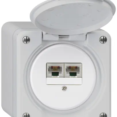 Boîte de raccordement AP robusto IP55 gris 2×RJ45/s CUC séparés 