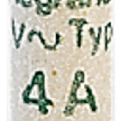 Fusibile cilindrico 8.5×31.5/6A AM 