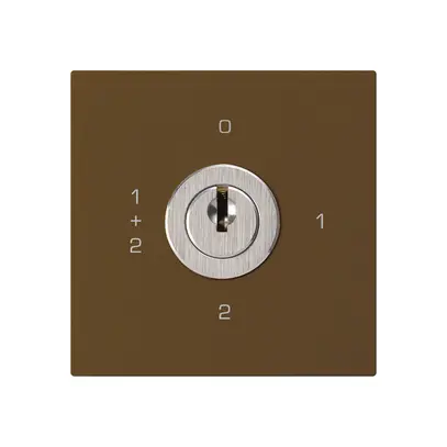 Einsatz zu Schlüsselschalter kallysto 1/1L br mit Schloss Kaba 8 