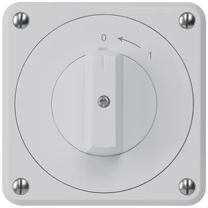 UP-Schwenktaster robusto IP55 grau 1P für Kombination 