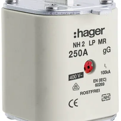 Fusibile HPC Hager DIN2 400VAC 250A gG/gL segnalatore centrale inossidabile 