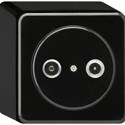 Presa d'antenna AP basico TV-R 4dB 2GHz nero 
