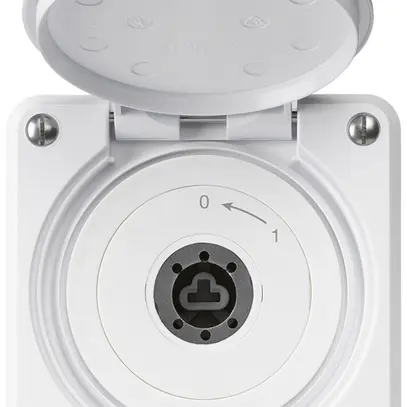 Contact pivotant à clé ENC robusto IP55 blanc avec clapet sans cylindre 2P 