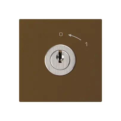 Schwenktaster 0<-1/2L braun kallysto mit Schloss Kaba 8 