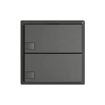Pulsante universale EDIZIO.liv UNI SNAPFIX® s.LED 2× com.1T grs 