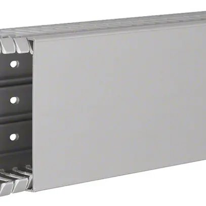 Canale di cablaggio BA7 60×100 grigio 