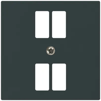 Plaque frontale kallysto pour prise 4×USB noir 