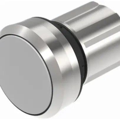Pulsante INS EAO45, I, grigio, anello argento, a filo 
